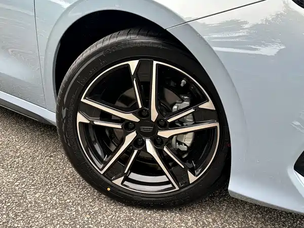Geely Binrui 2024