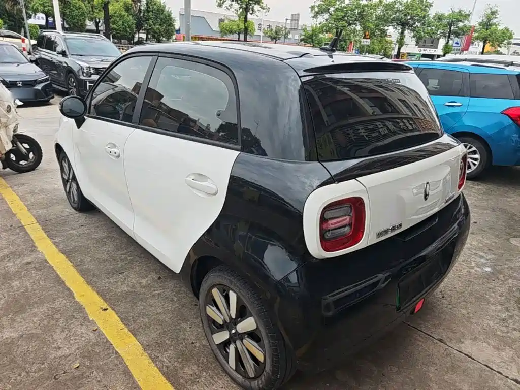 Ora Black Cat 2021
