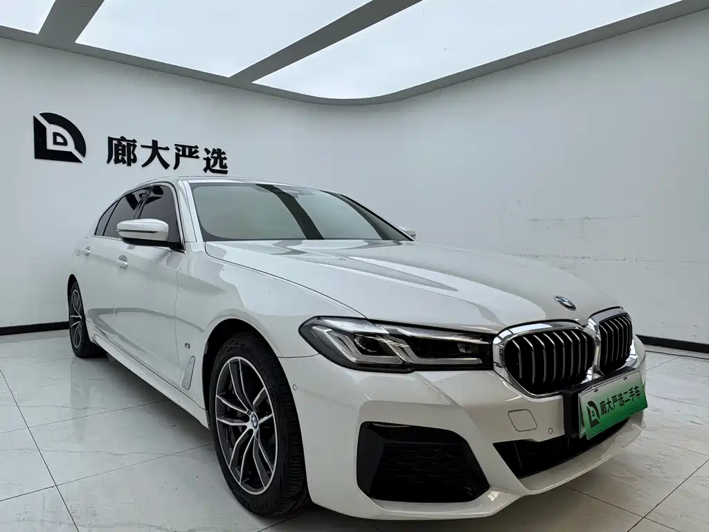 BMW 5 Series New Energy 2020 — фото 3