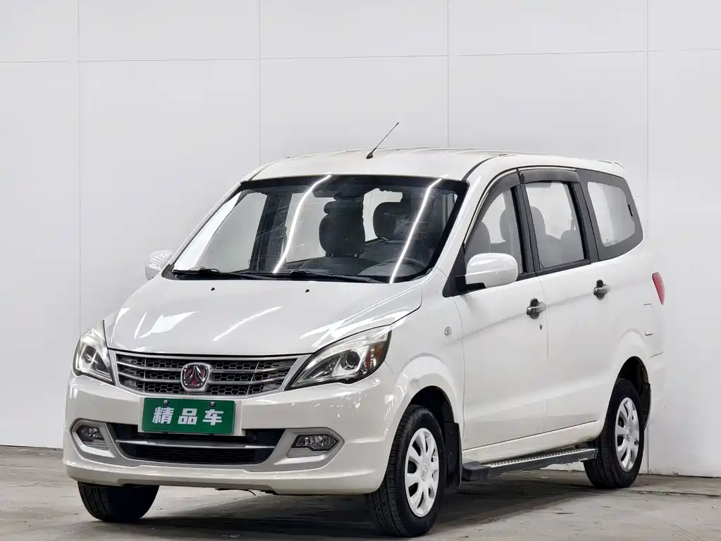 BAW Weiwang M20 2015