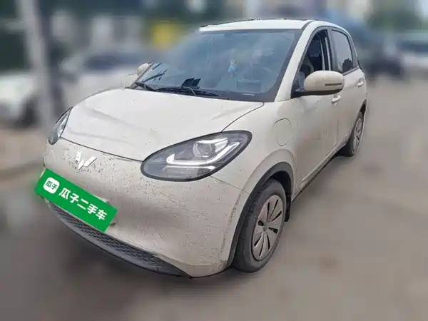 Wuling Bingo 2024