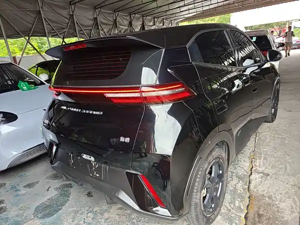 BYD Seagull 2024