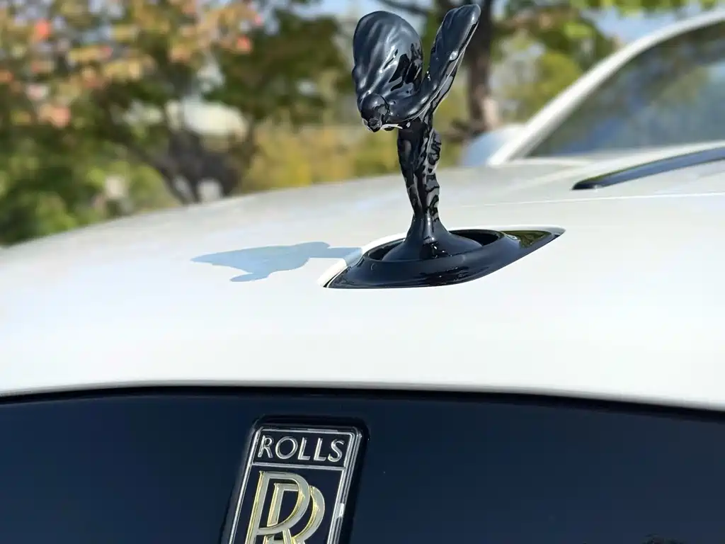 Rolls-Royce Yao Ying 2017 — фото 24