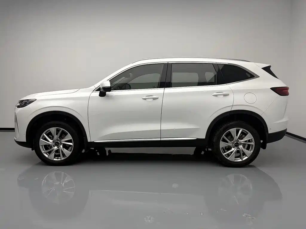Haval H6 2020 — фото 7
