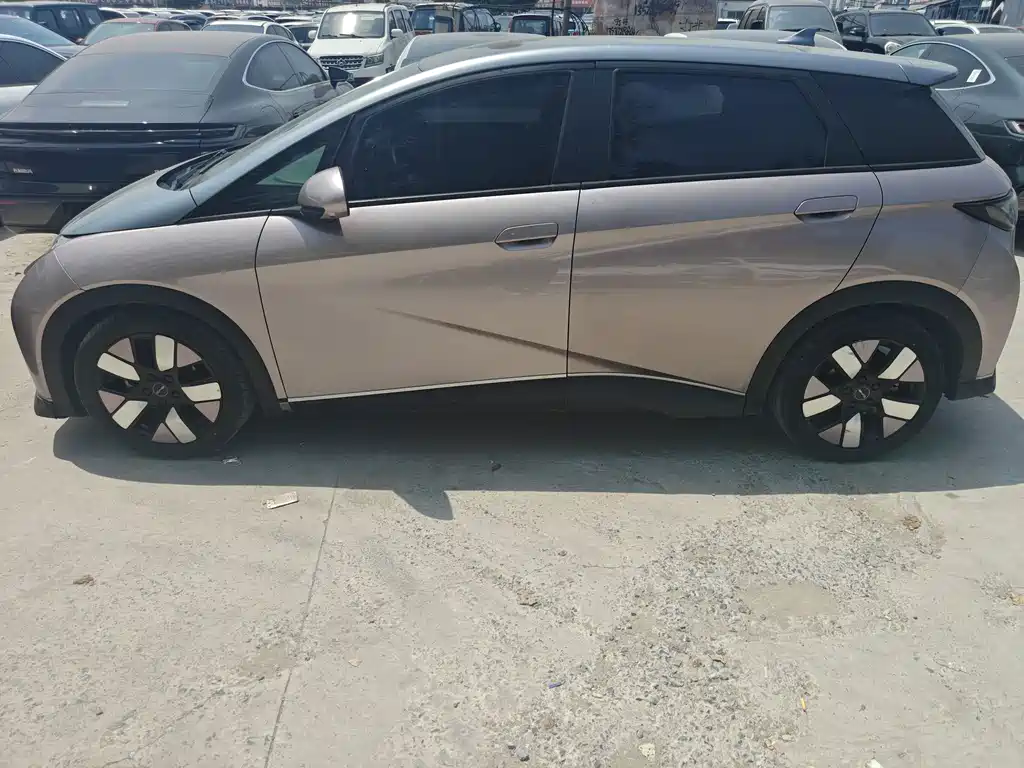 BYD Dolphin 2021