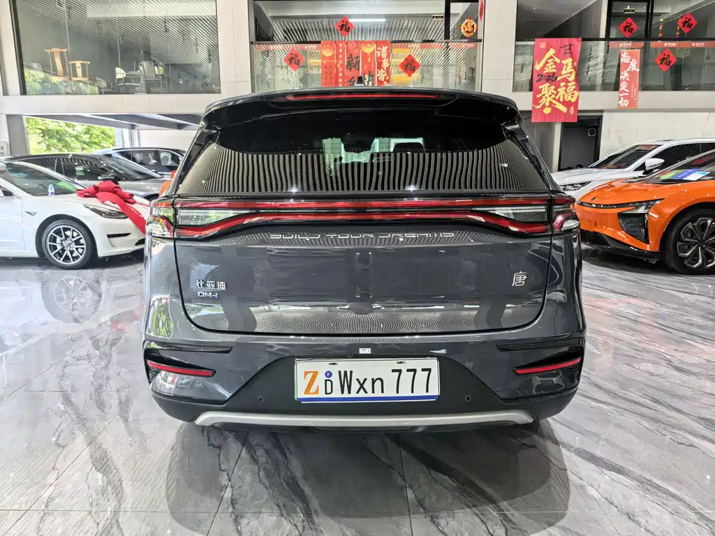 BYD Tang New Energy 2023 — фото 22