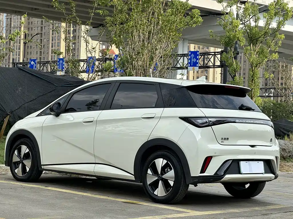BYD Dolphin 2023