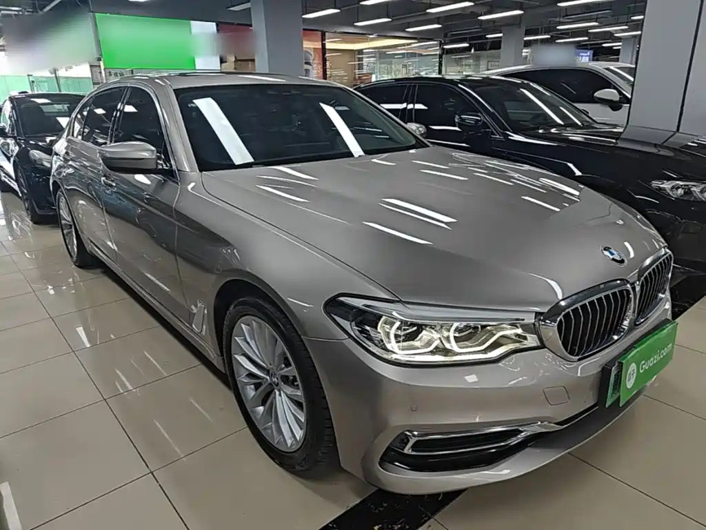 BMW 5 Series New Energy 2019