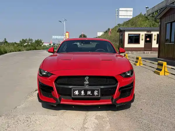 Ford Mustang 2019
