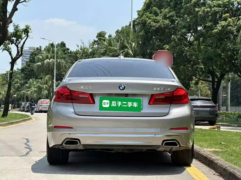 BMW 5 Series New Energy 2019