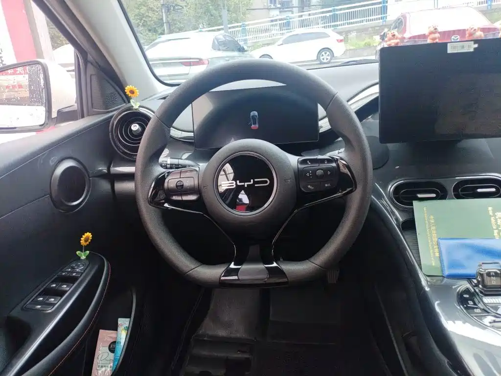 BYD e2 2024