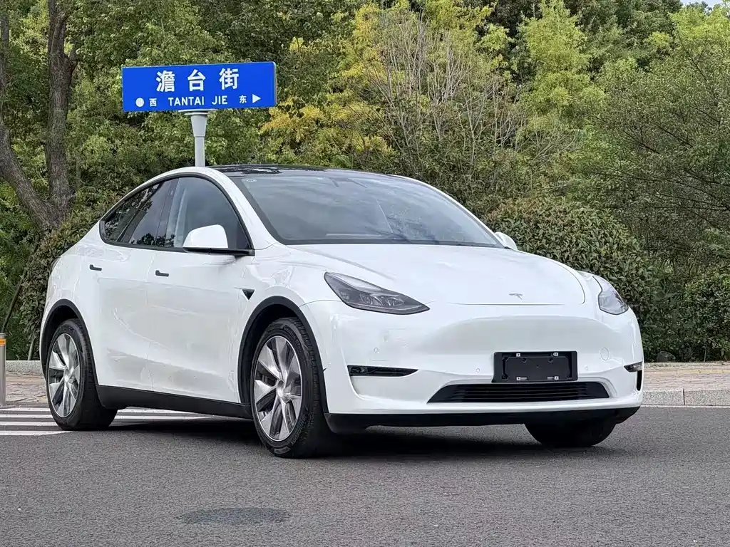 Tesla Model Y 2021 — фото 3
