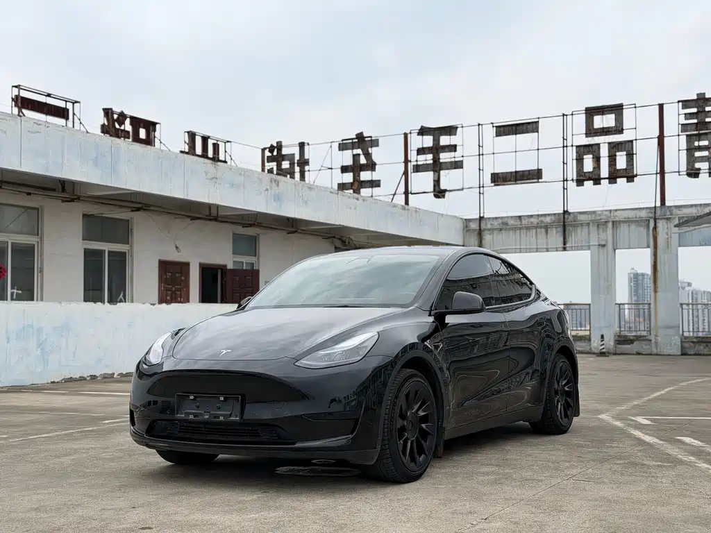 Tesla Model Y 2023 — фото 1