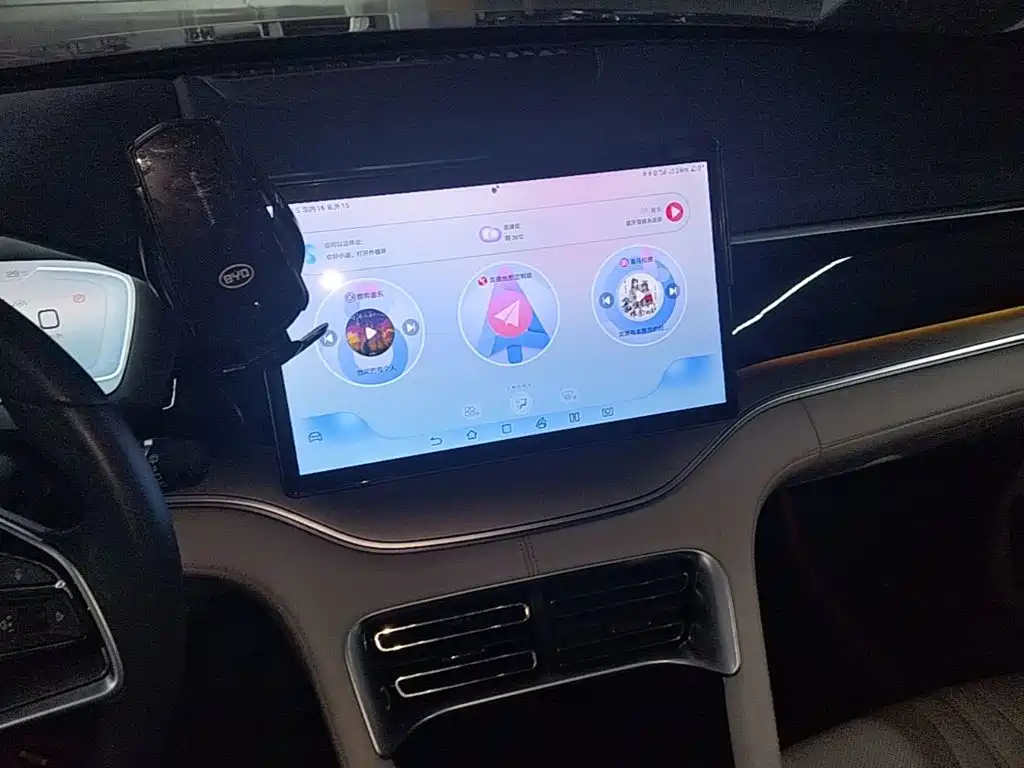 BYD Song PLUS New Energy 2024 — фото 13