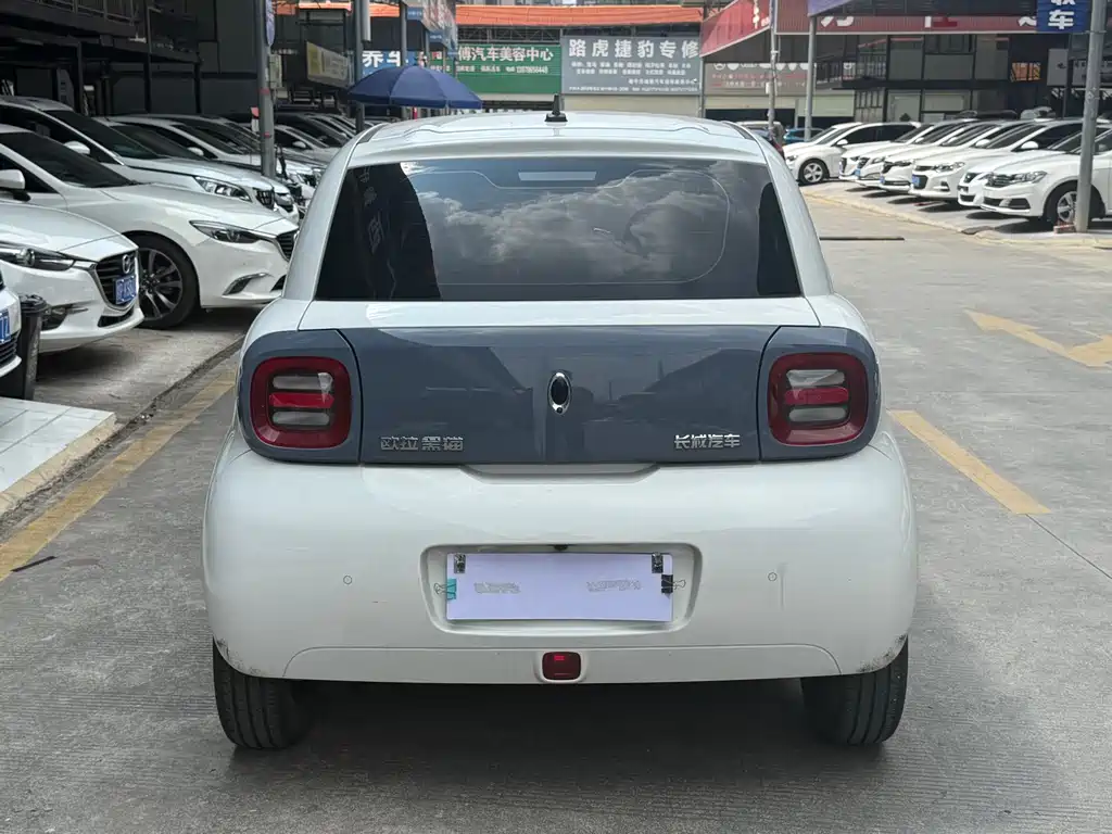 Ora Black Cat 2021