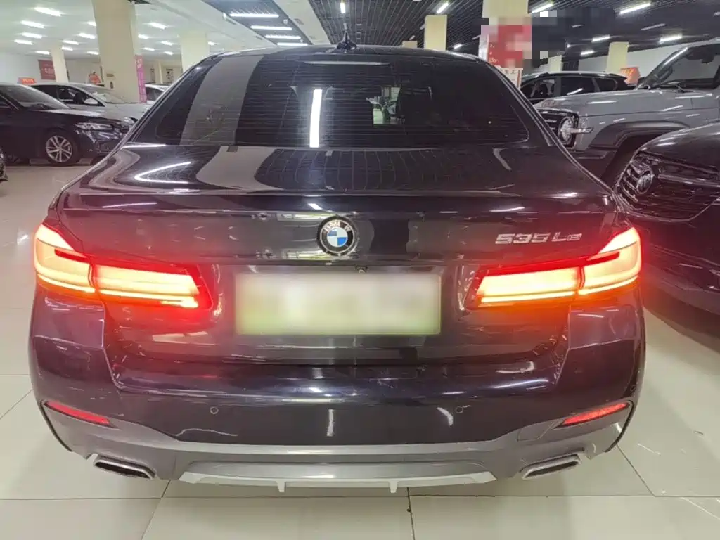 BMW 5 Series New Energy 2021