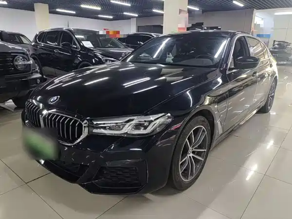 BMW 5 Series New Energy 2021