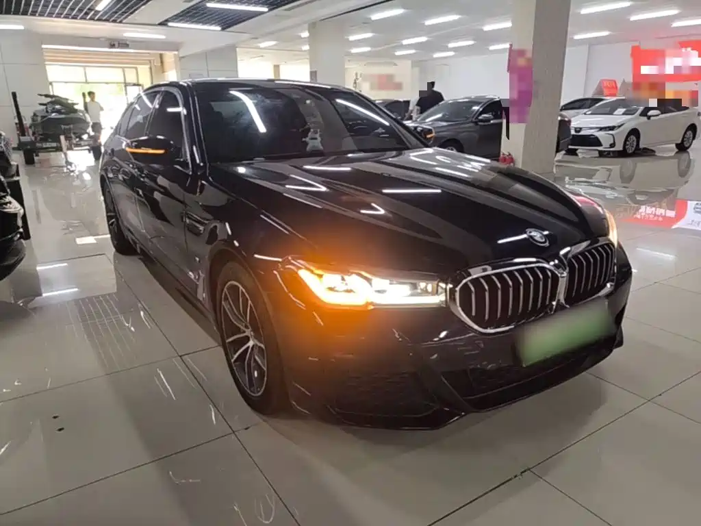 BMW 5 Series New Energy 2021