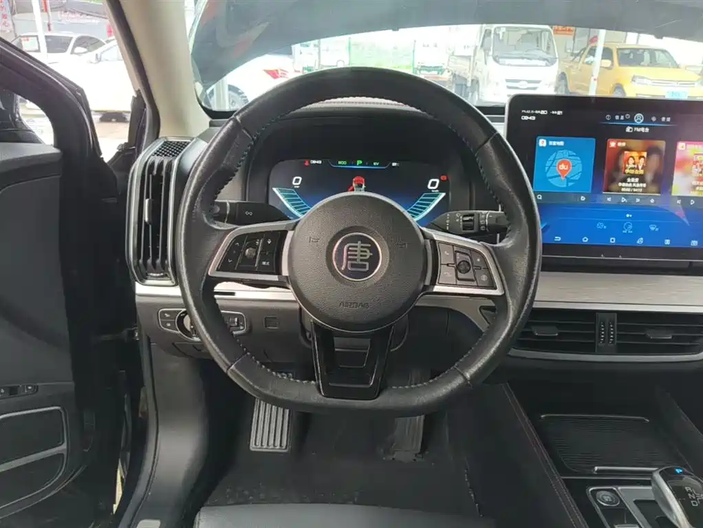 BYD Tang New Energy 2019 — фото 11