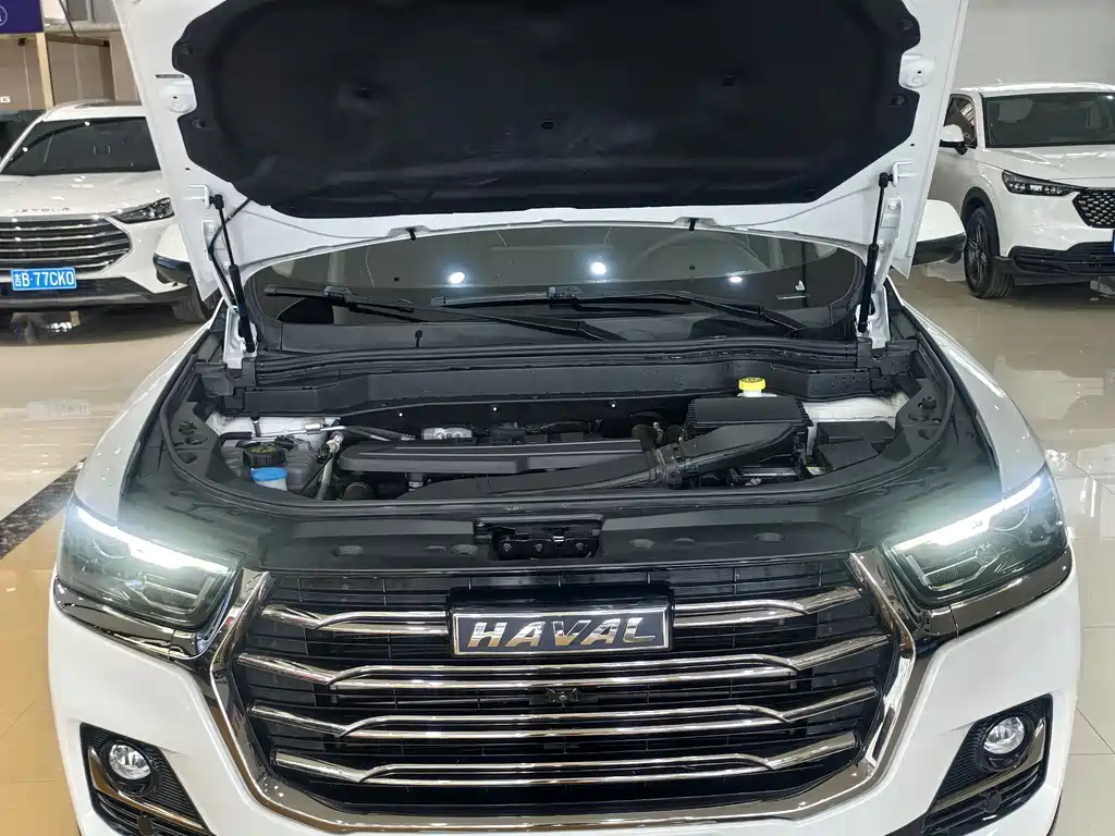 Haval H6 2023 — фото 25