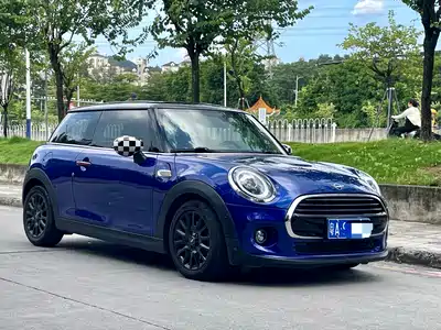 MINI MINI 2019