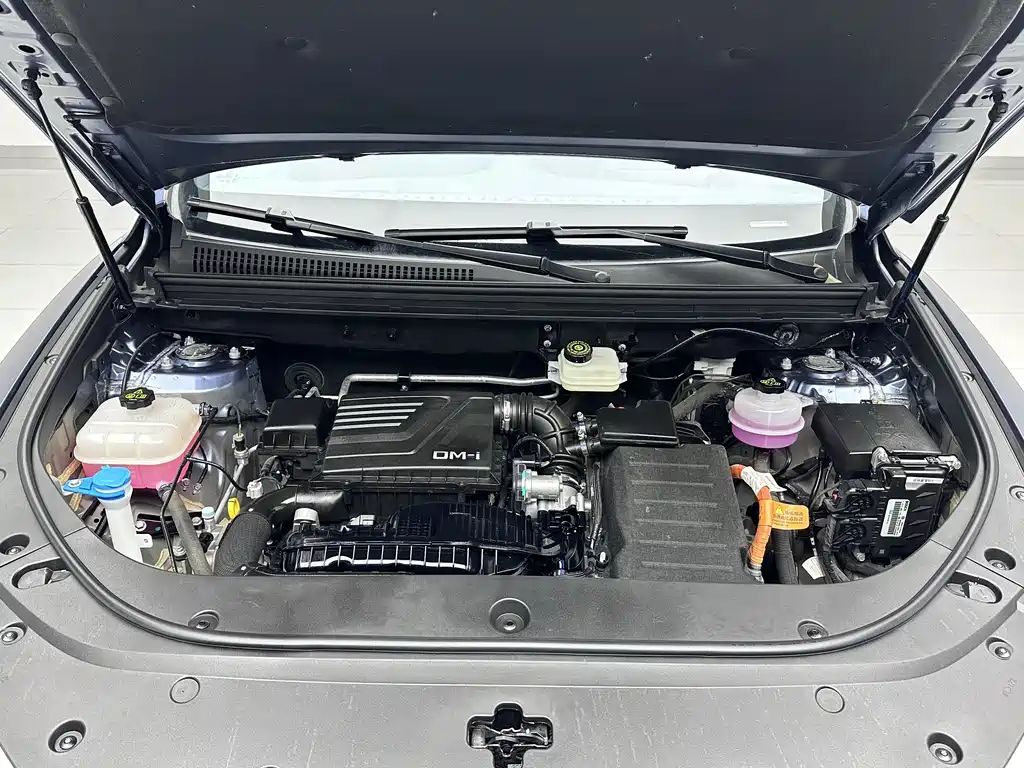 BYD Pro New Energy 2023 — фото 19
