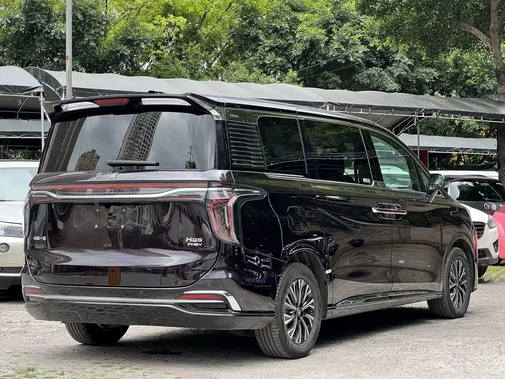 Hongqi HQ9 PHEV 2024 — фото 3