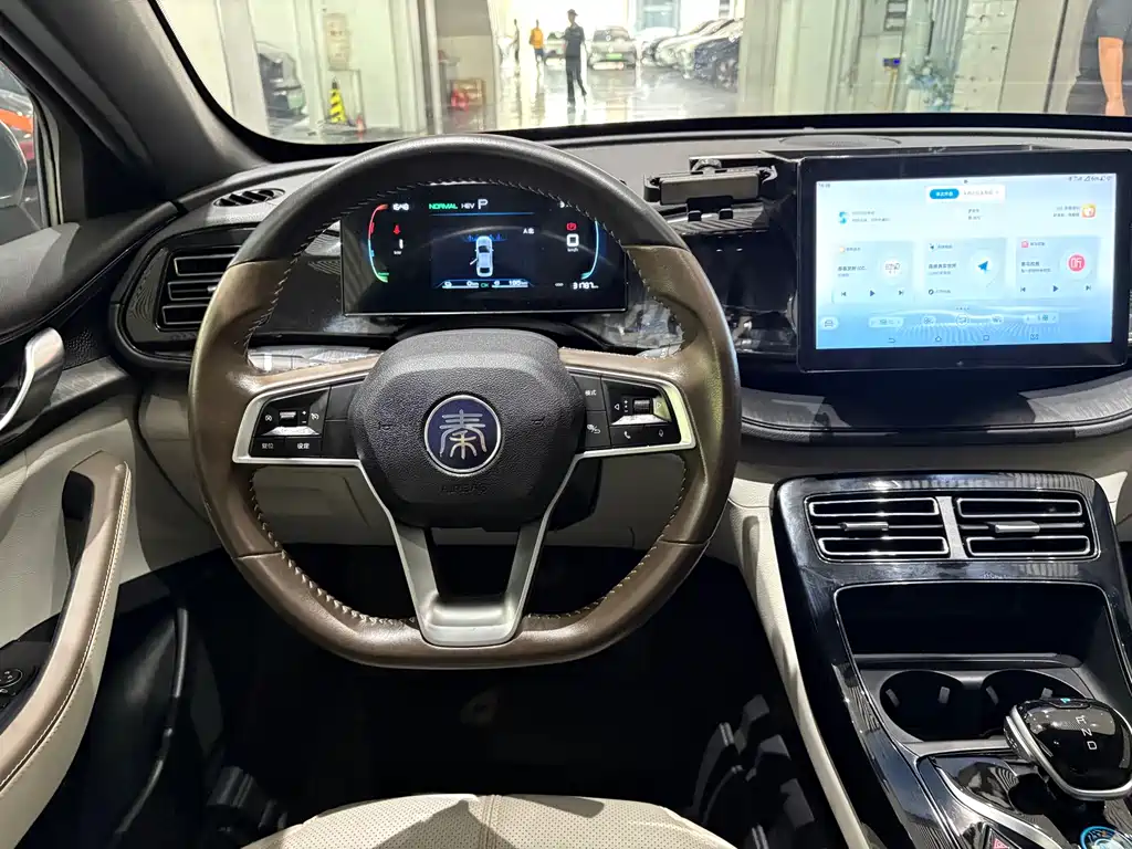 BYD Qin PLUS 2023 — фото 8