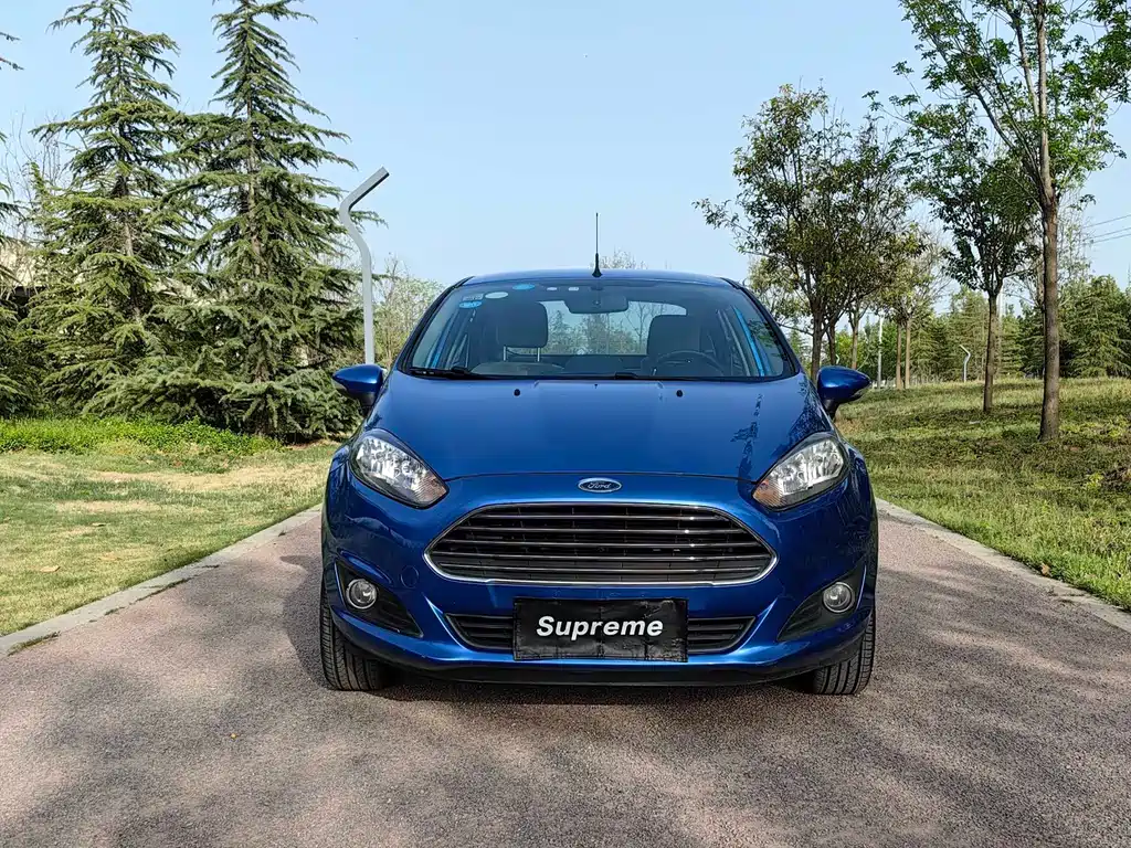 Ford Fiesta 2013 — фото 2