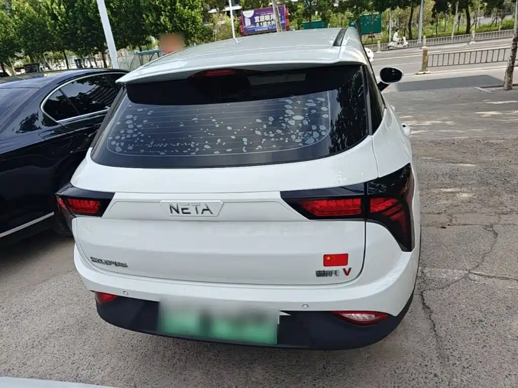 Neta V 2021