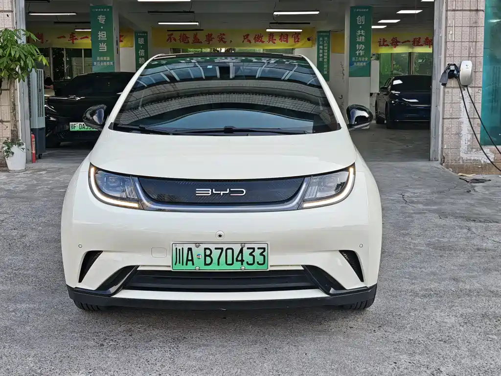 BYD Dolphin 2024