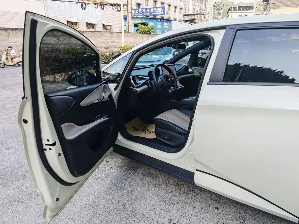 BYD Dolphin 2024