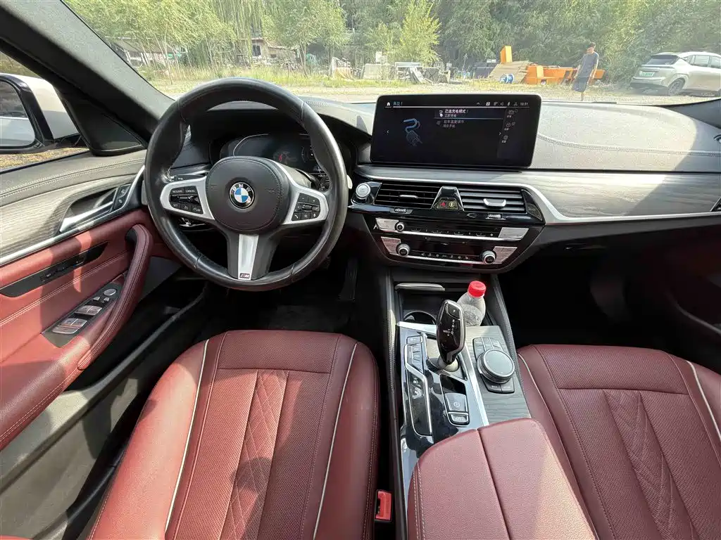 BMW 5 Series New Energy 2020 — фото 9
