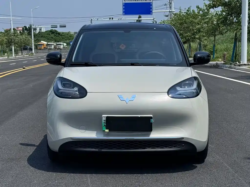 Wuling Bingo 2024