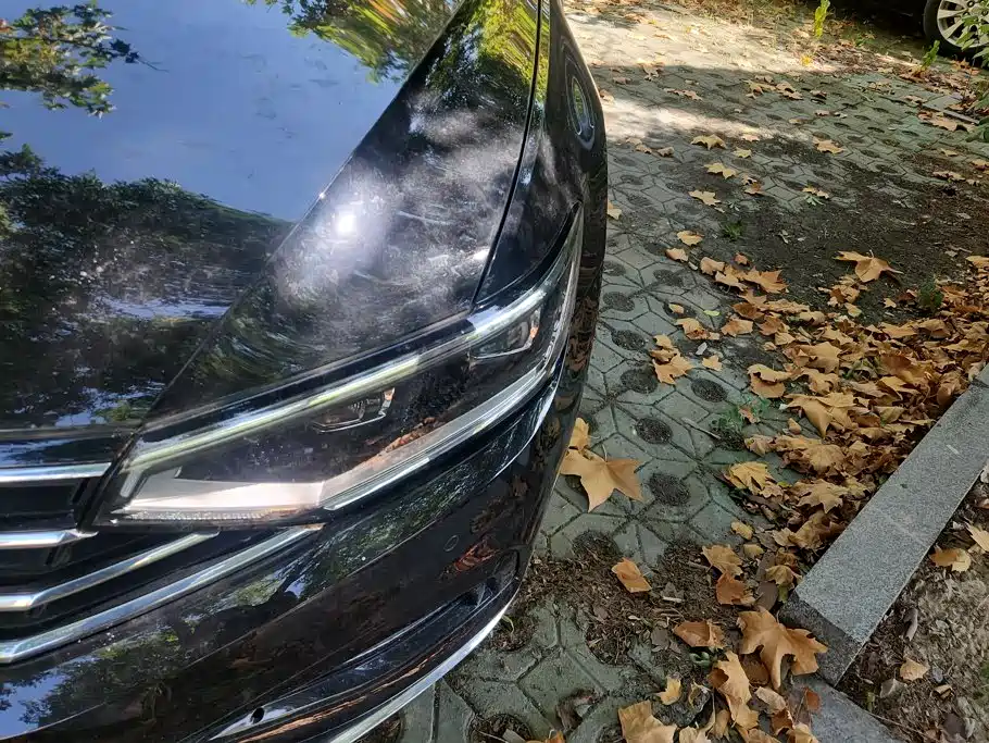 Volkswagen Magotan 2022