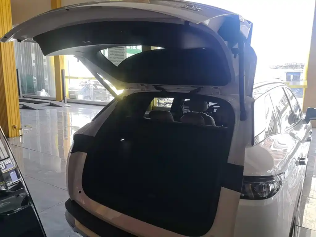 BYD Song L DM-i 2025 — фото 19
