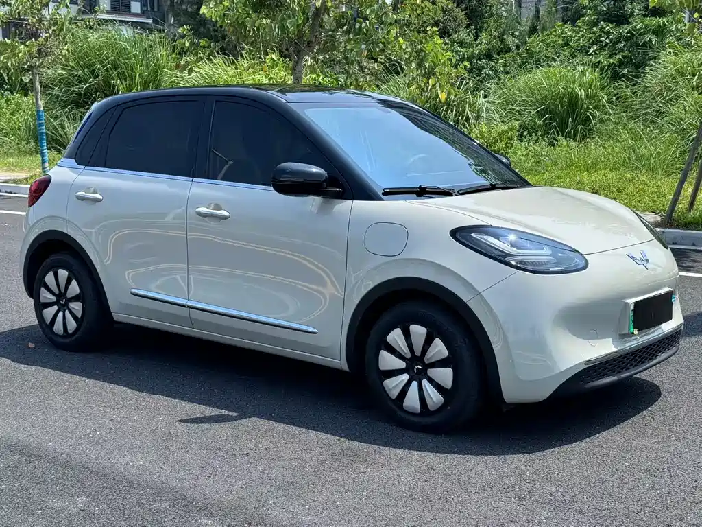 Wuling Bingo 2024