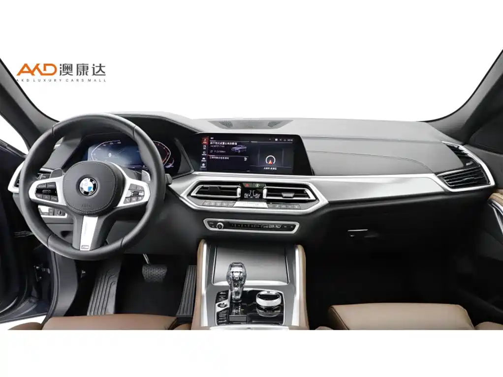BMW X6 2021
