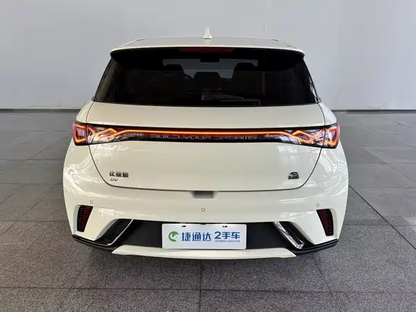 BYD Dolphin 2024