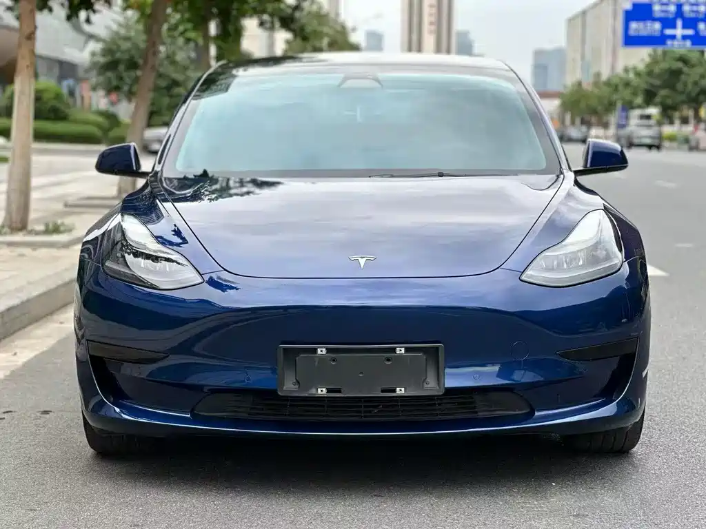 Tesla Model 3 2021 — фото 2