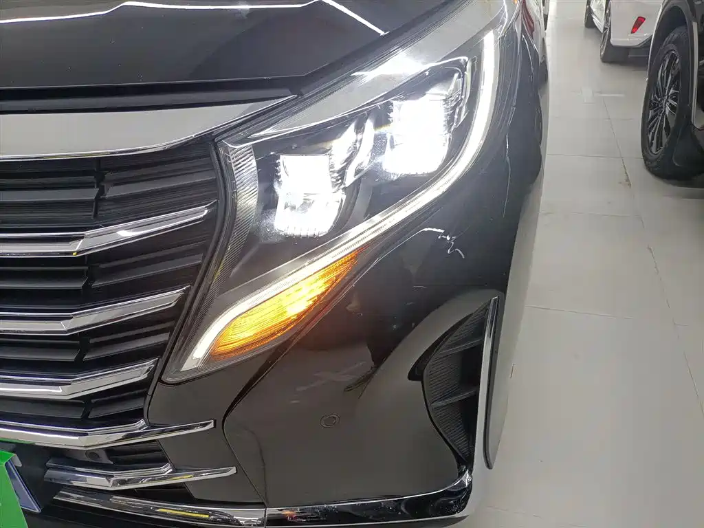 GAC Motor Trumpchi M8 2023 — фото 24