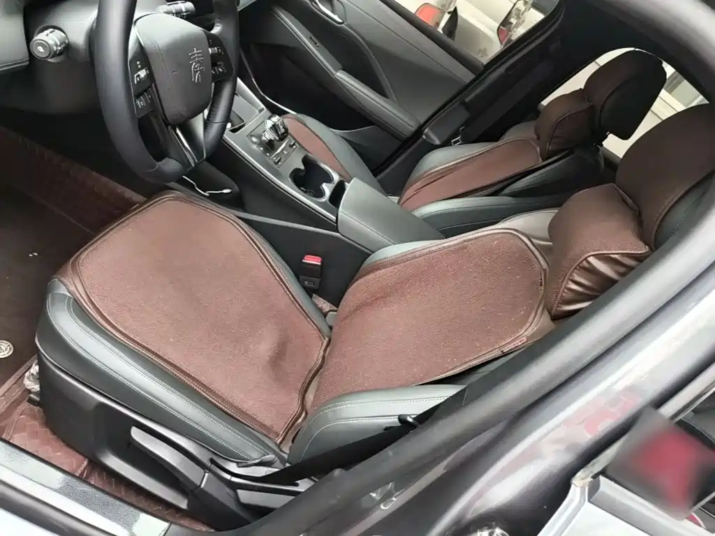 BYD Qin PLUS 2025 — фото 15