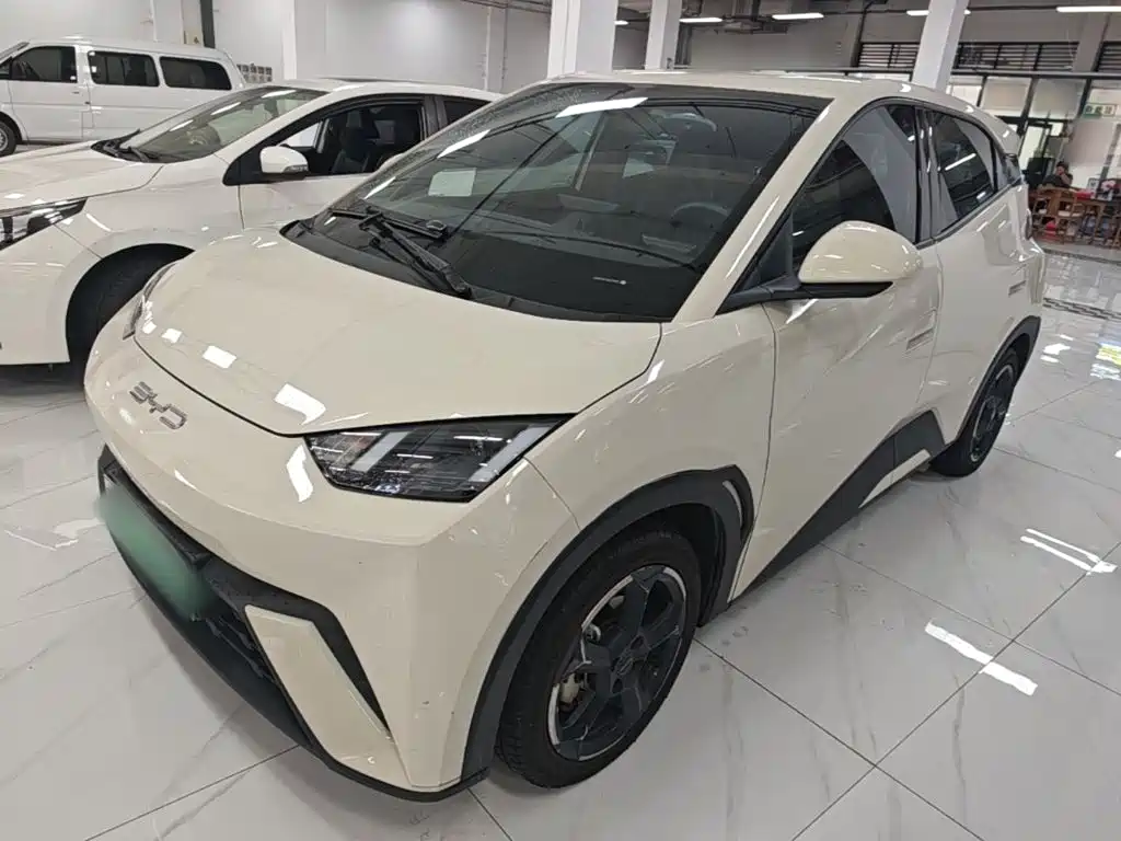 BYD Seagull 2024