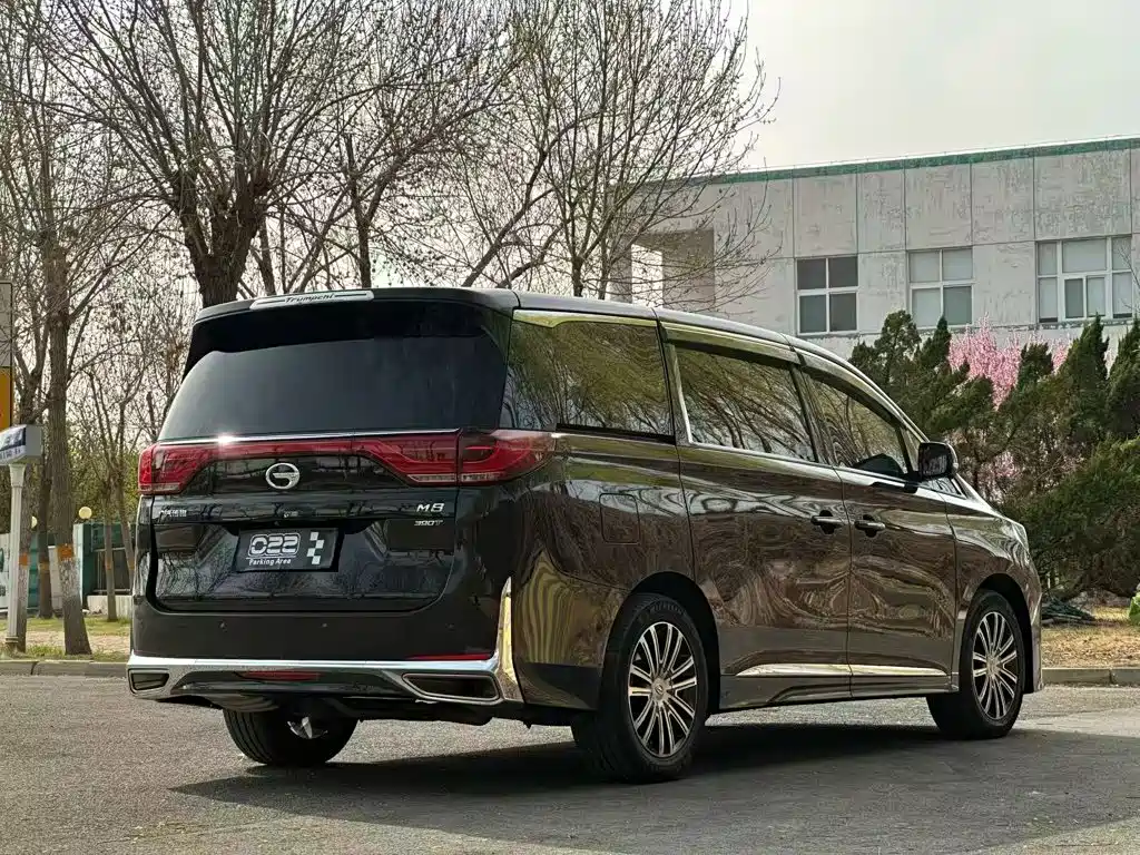 GAC Motor Trumpchi M8 2022 — фото 13