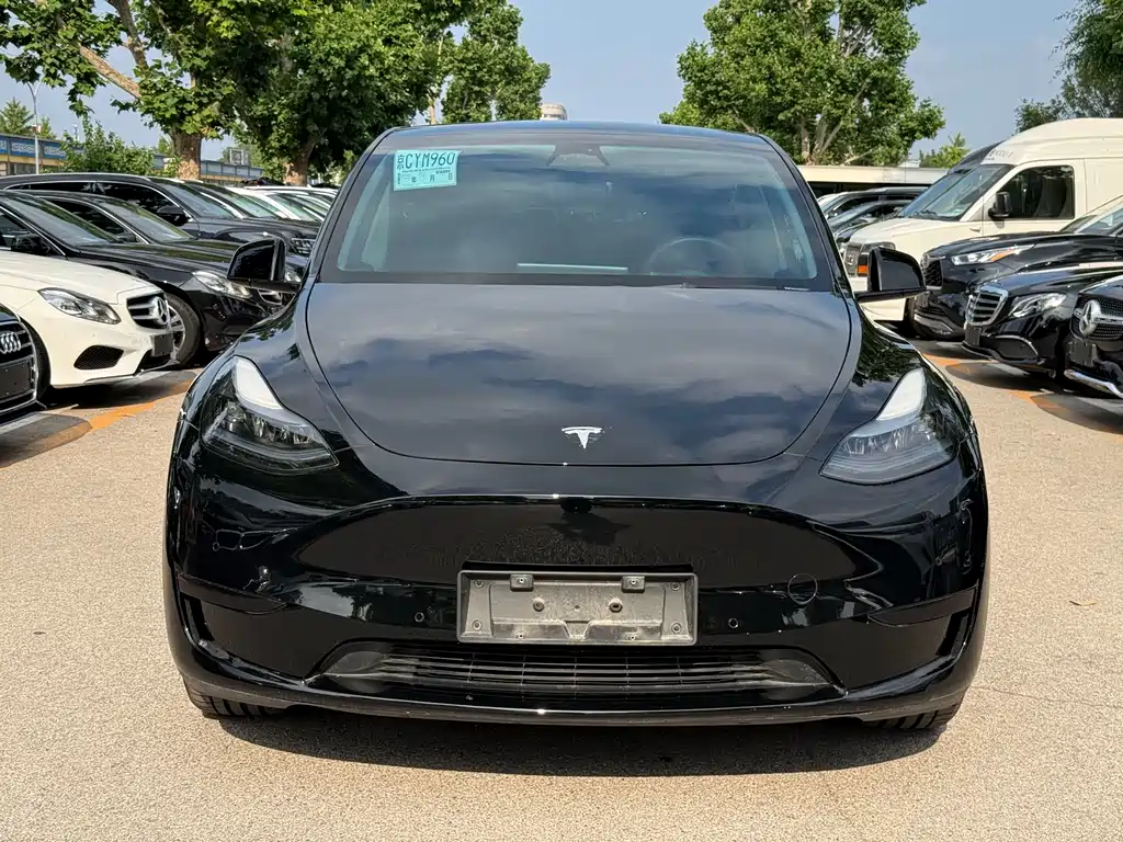 Tesla Model Y 2023 — фото 2