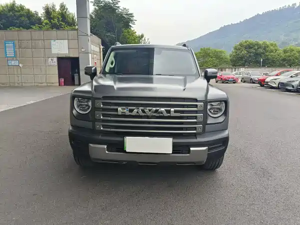 Haval Raptors New Energy 2024