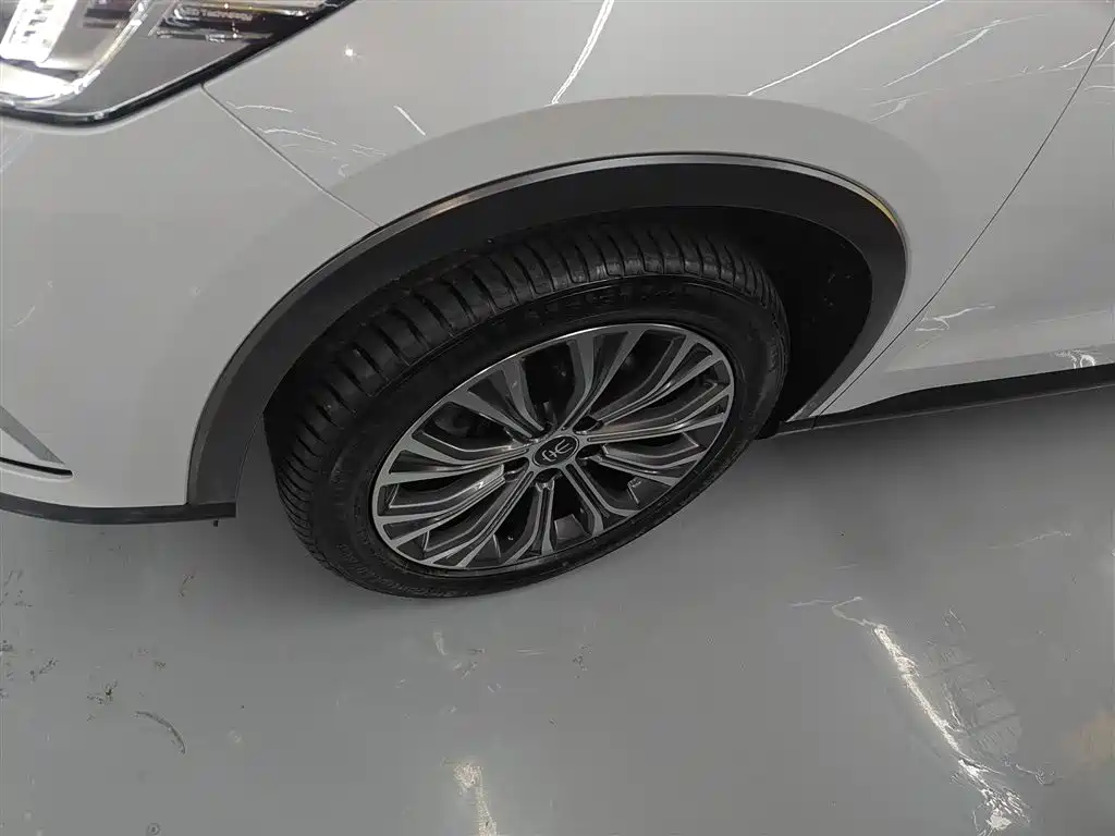 BYD Pro New Energy 2020 — фото 25