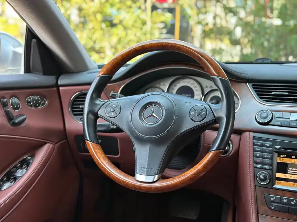 Mercedes-Benz CLS 2010 — фото 15