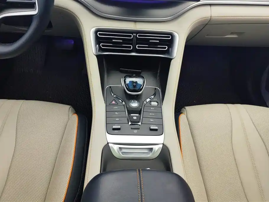 BYD PLUS New Energy 2022 — фото 16