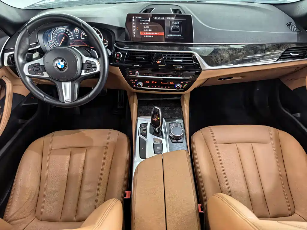 BMW 5 Series 2017 — фото 10